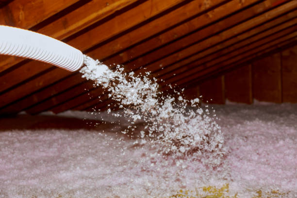 Best DIY Insulation Kits and Guidance in Sconsin Rapids, WI