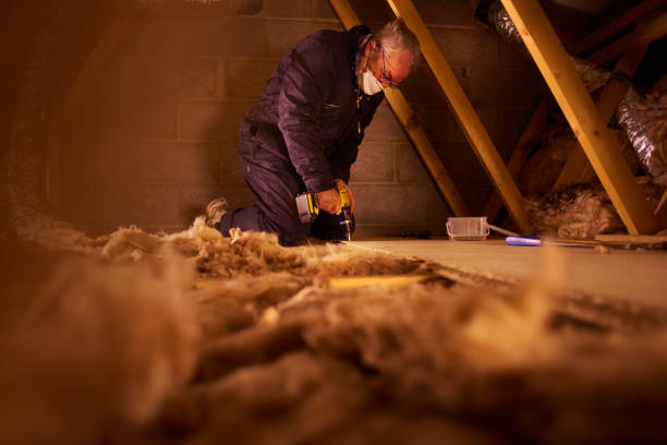 Best Specialized Insulation Services in Sconsin Rapids, WI