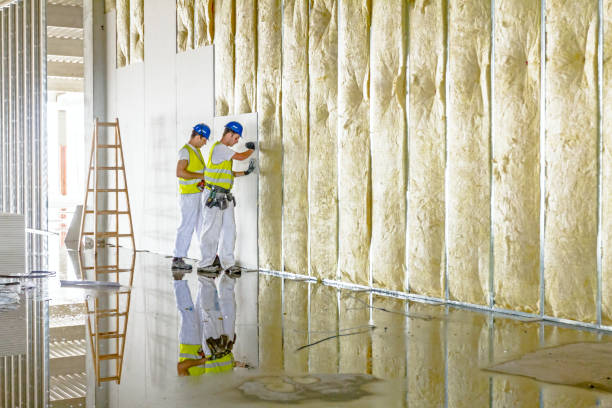 Best Residential Insulation in Sconsin Rapids, WI